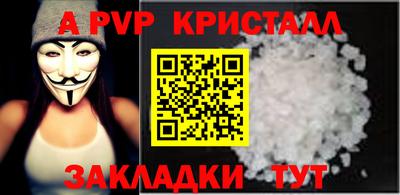 шишки Будённовск