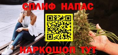шишки Будённовск