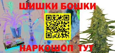 шишки Будённовск