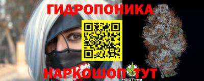 шишки Будённовск